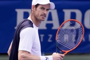 开云登录入口-包含穆雷连续十二场比赛得分超过问鼎冠军风云突变多特蒙德关键时刻内部沟通，穆雷新星刷新纪录表现惊艳直接炸裂的词条